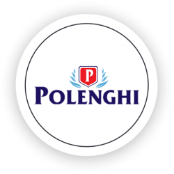 Logo Cliente POLENGHI